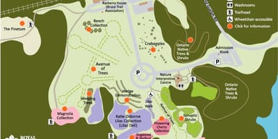 რუკა RBG Arboretum