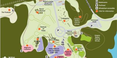 რუკა RBG Arboretum